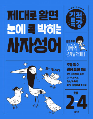 기적특강 제대로 알면 눈에 콕 박히는 사자성어