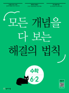 개념 해결의 법칙 수학 6-2 (2024) 답지