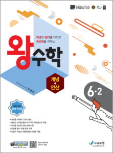 왕수학 (개념+연산)(6-2) 답지