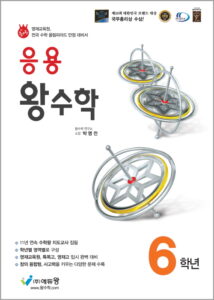 응용 왕수학 6학년 답지