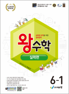 왕수학 실력편(6-1)(2022개정) 답지