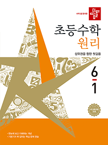 디딤돌 초등수학 원리 6-1(2022개정) 답지