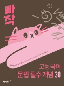 빠작 고등 국어 문법 필수 개념 30 (2026) 답지